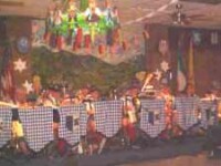 Edelweiss am Rio Grande German American Club